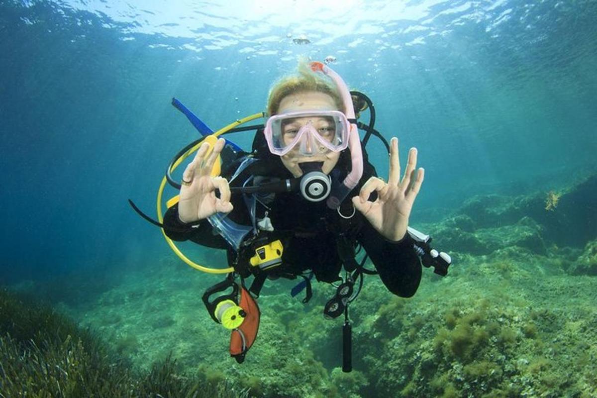 una persona con una muta da sub e una maschera antigas in acqua