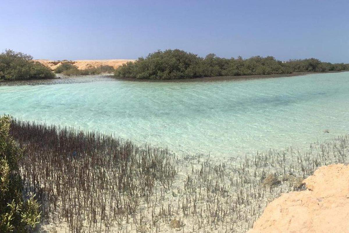 Un gran cuerpo de agua con árboles al fondo.