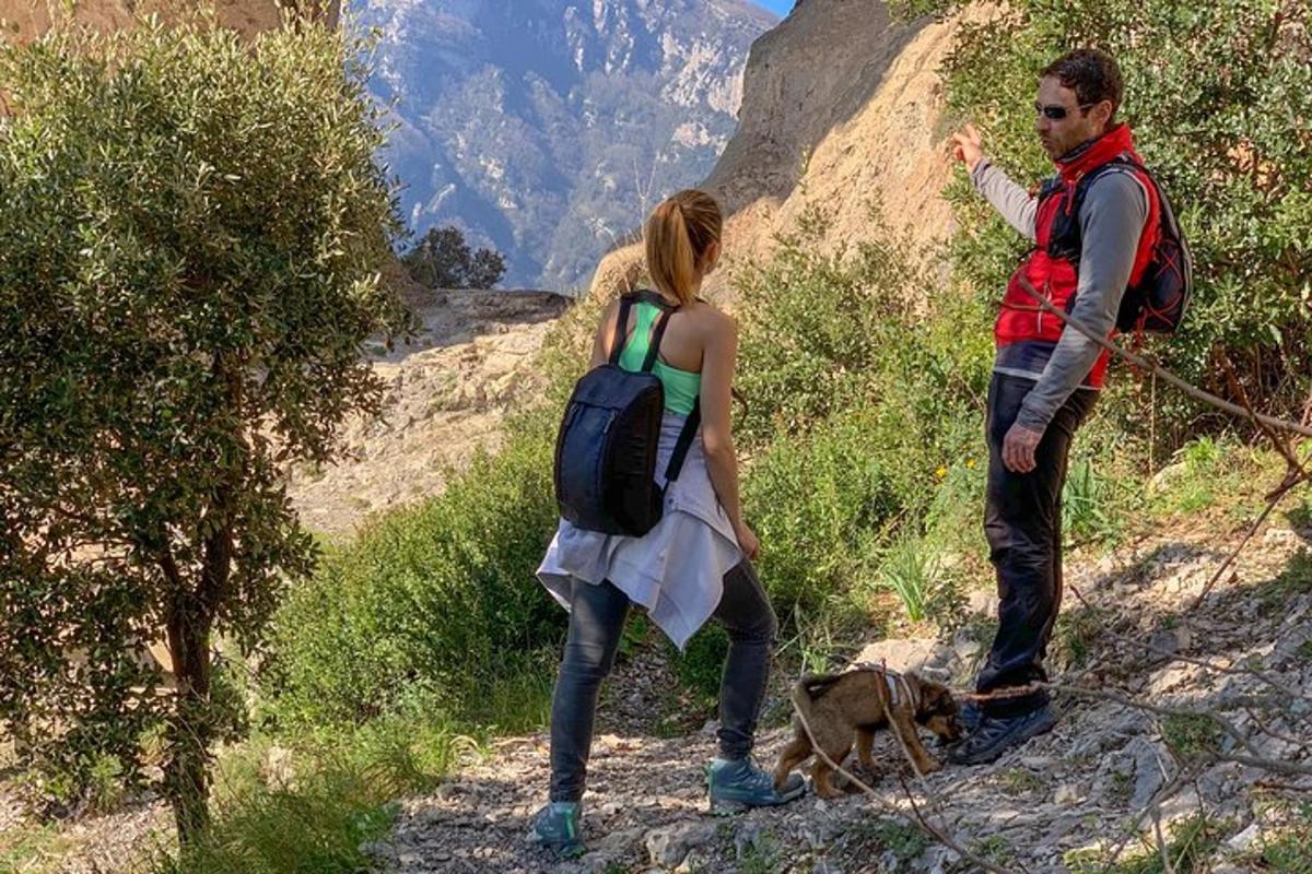 seorang lelaki dan seorang wanita berjalan anjing di atas gunung