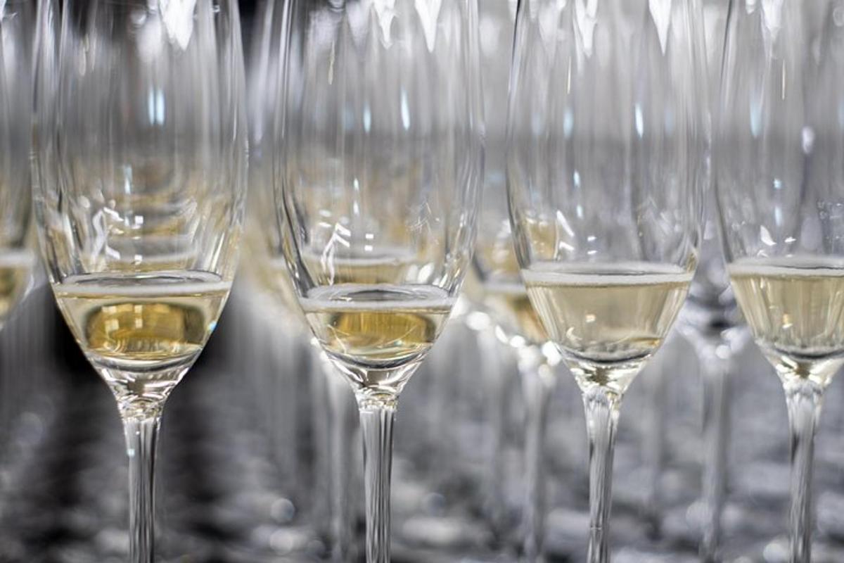 a row of wine glasses filled with white wine