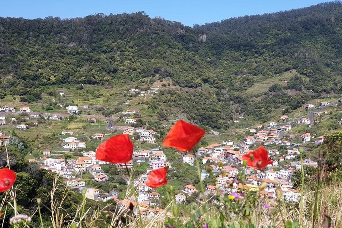 a group of red flags flying in front of a village