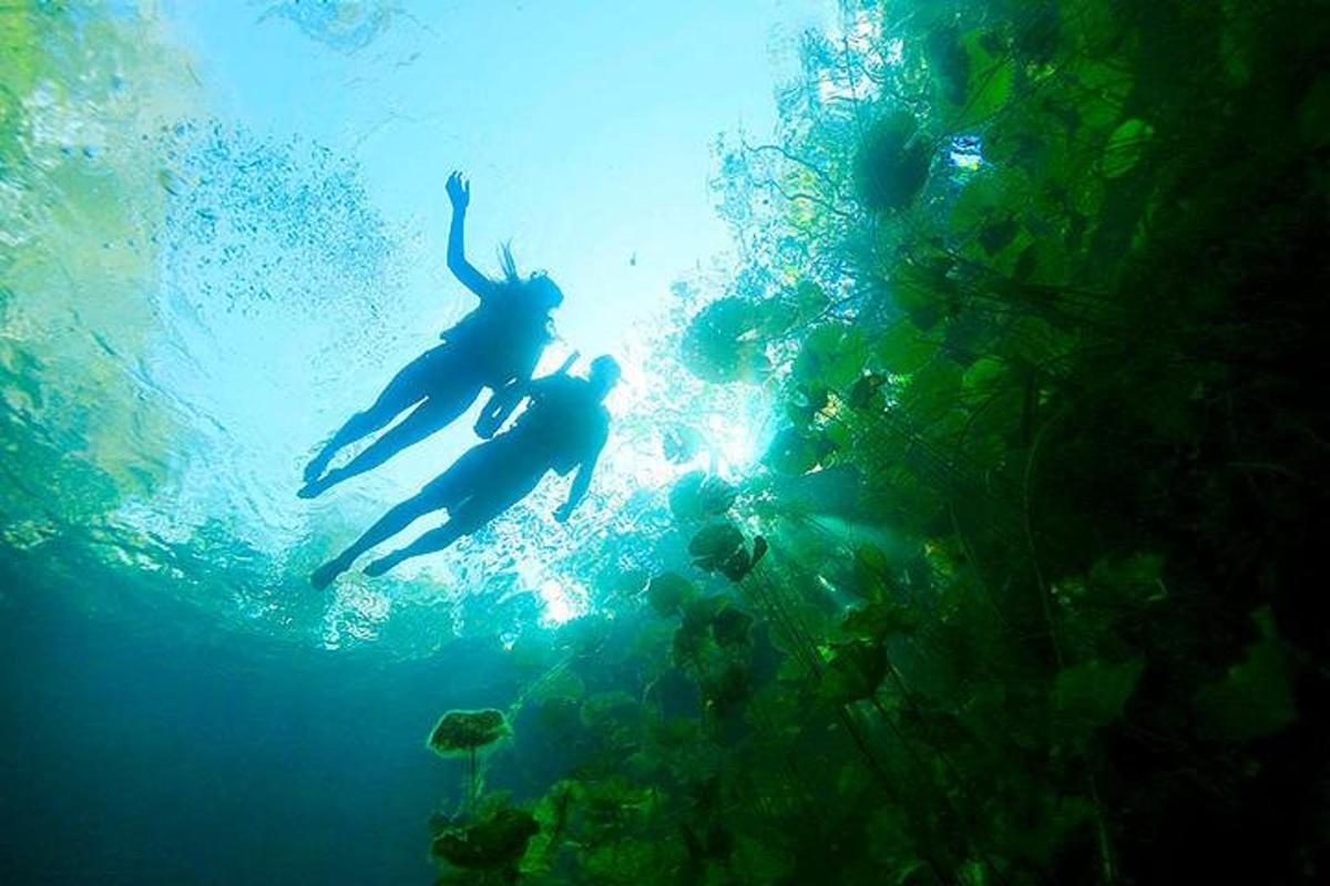Dos personas están nadando en el agua del océano.