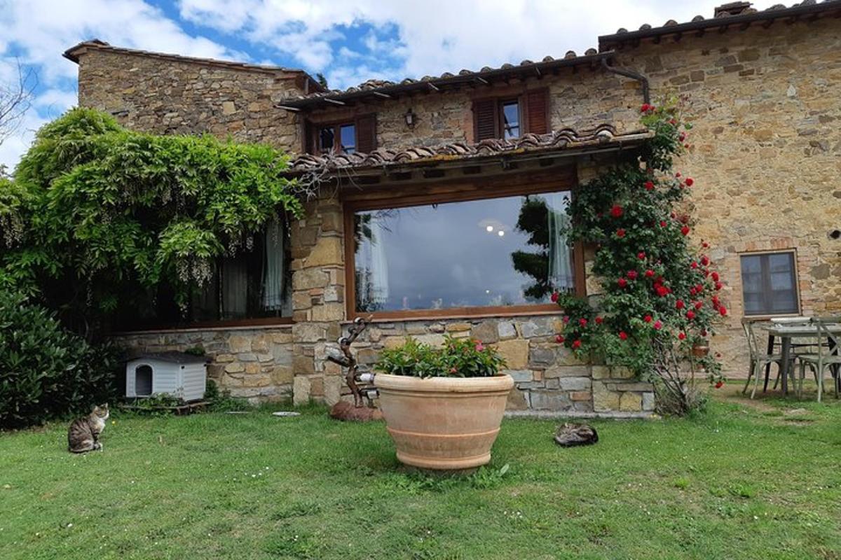 un gat assegut al pati d'una casa de pedra