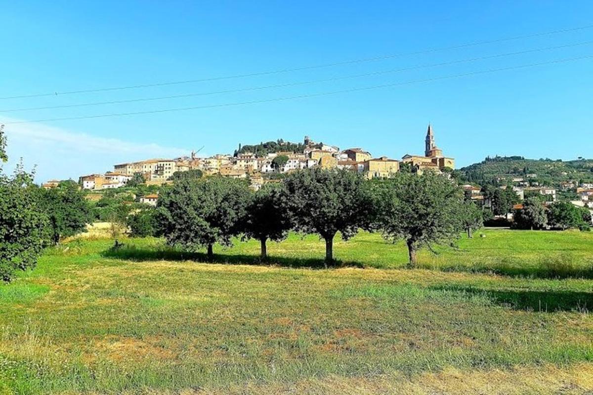 a field with trees and a town in the background