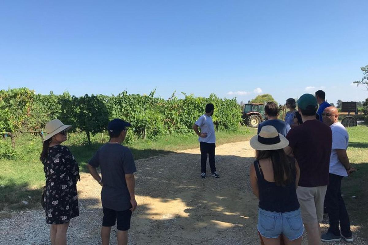 Un grupo de personas de pie en un camino de tierra