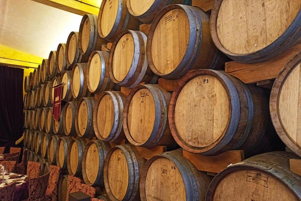 um monte de barris de vinho empilhados em uma sala