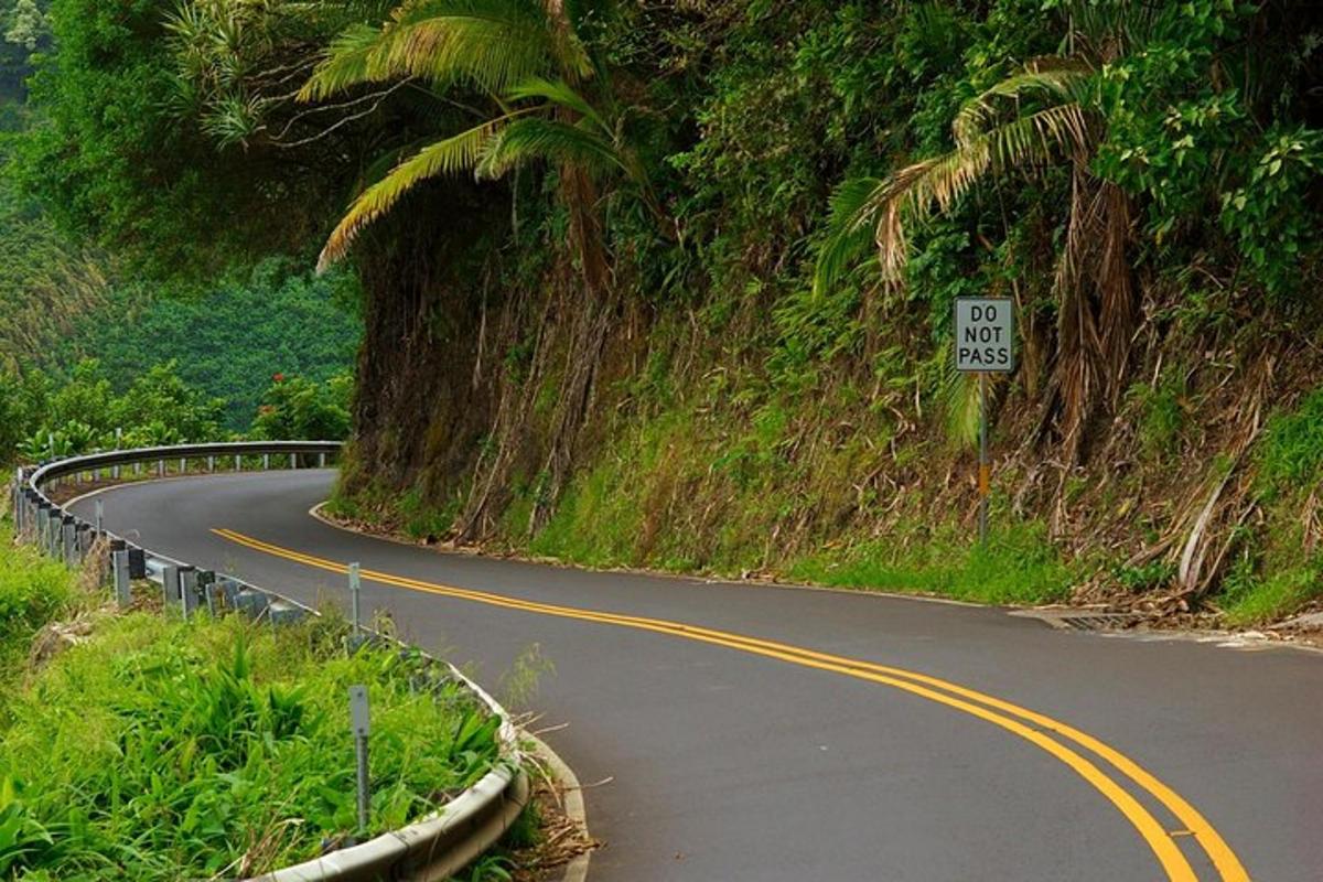 a winding road on a hill with a speed limit sign