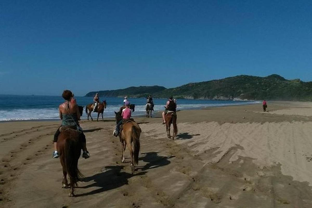 een groep mensen die op paarden op het strand rijden