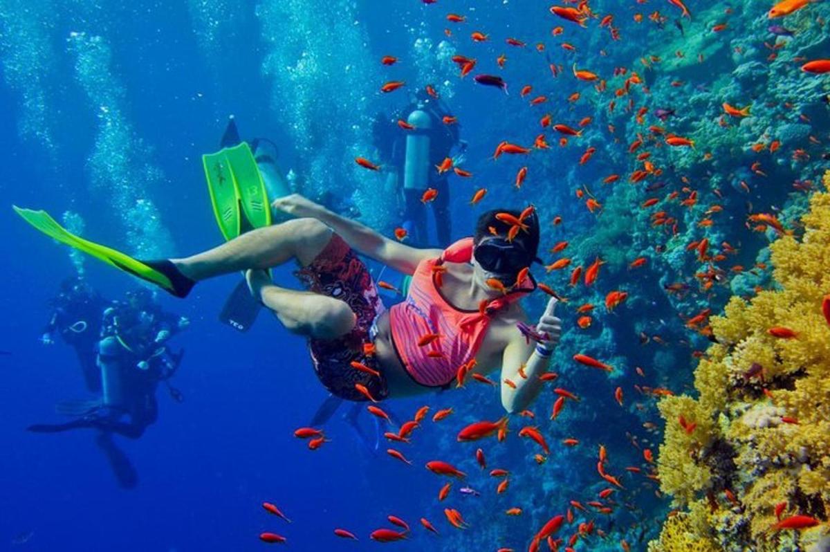 a woman in the water with a book and fish