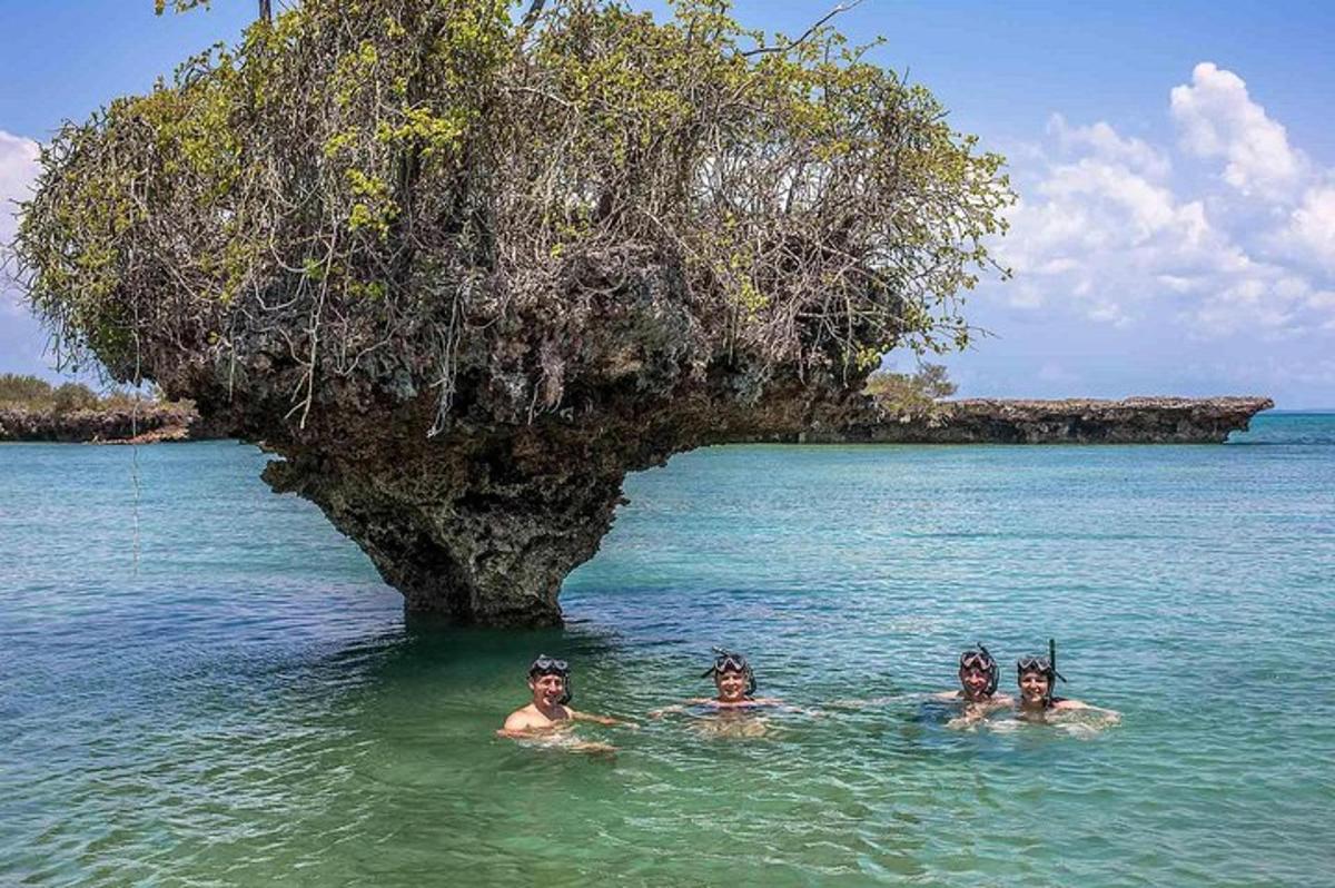 a group of people swimming in the water near an island