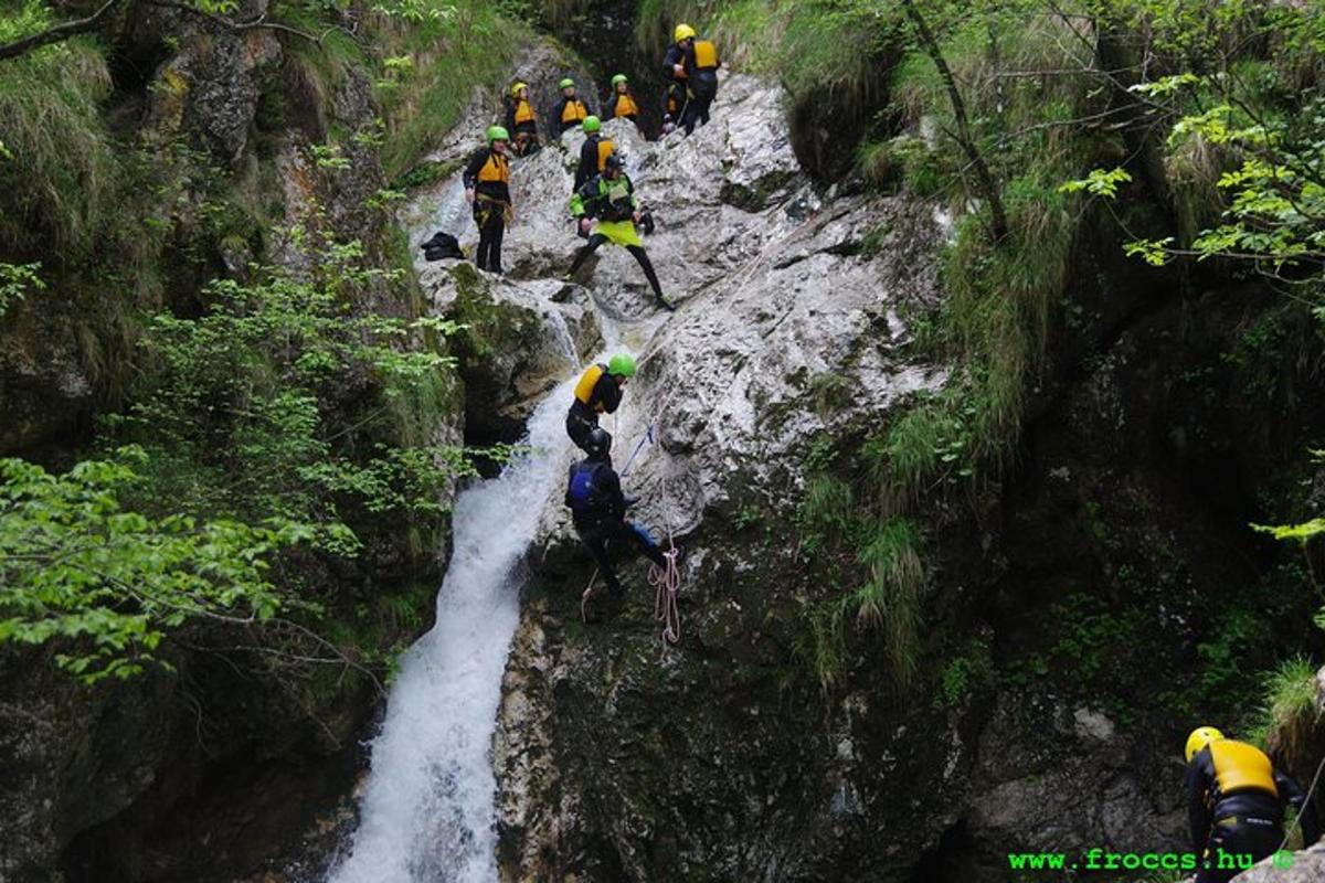un gruppo di persone su una cascata in una foresta