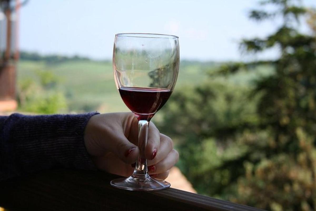 en person som håller ett glas rött vin