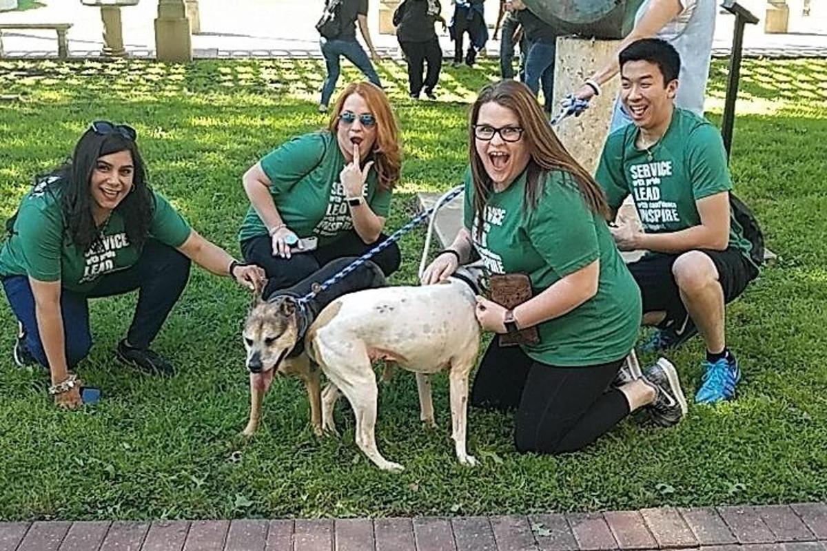 a group of people kneeling in the grass with a dog