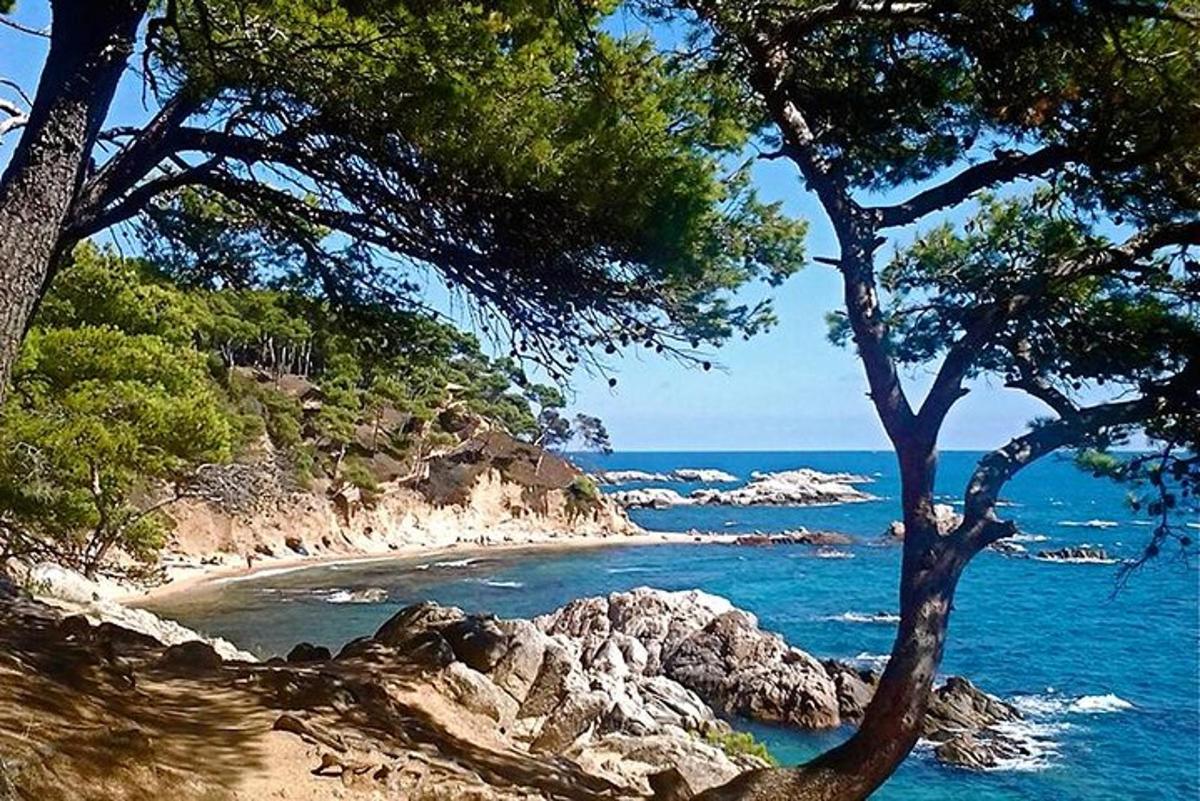 Una vista de una playa con árboles y el océano.