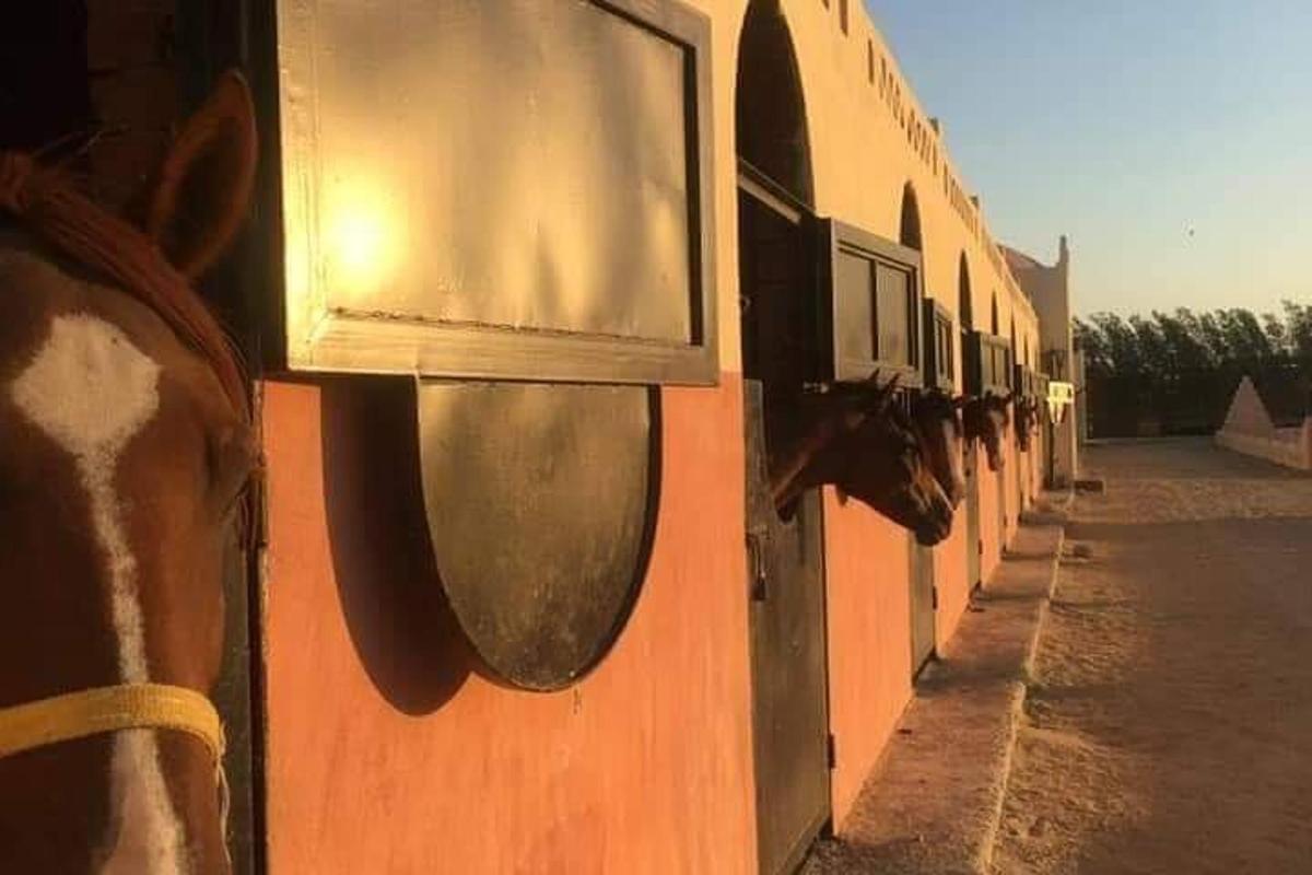 ένα κοντινό πλάνο ενός κουταλιού στην πλευρά ενός κτιρίου