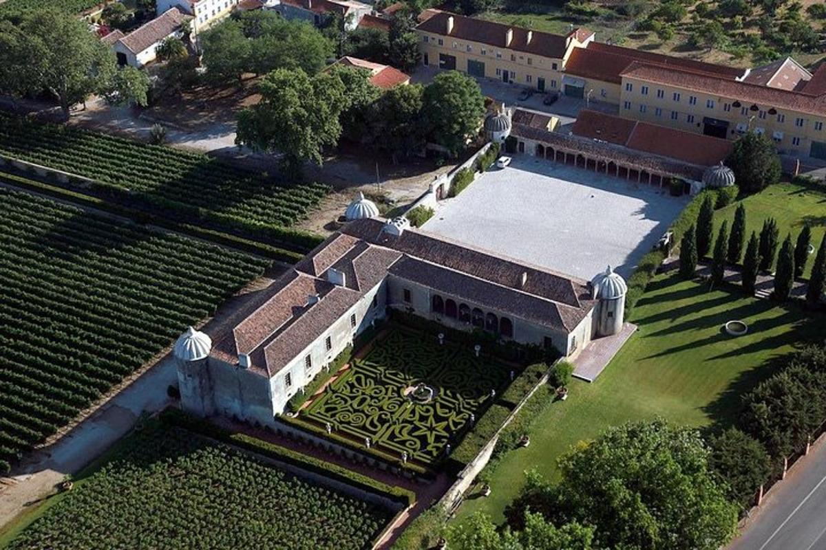vista aèria d'una gran casa amb jardí