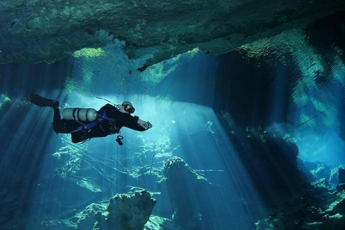 una persona che nuota nell'acqua di un acquario
