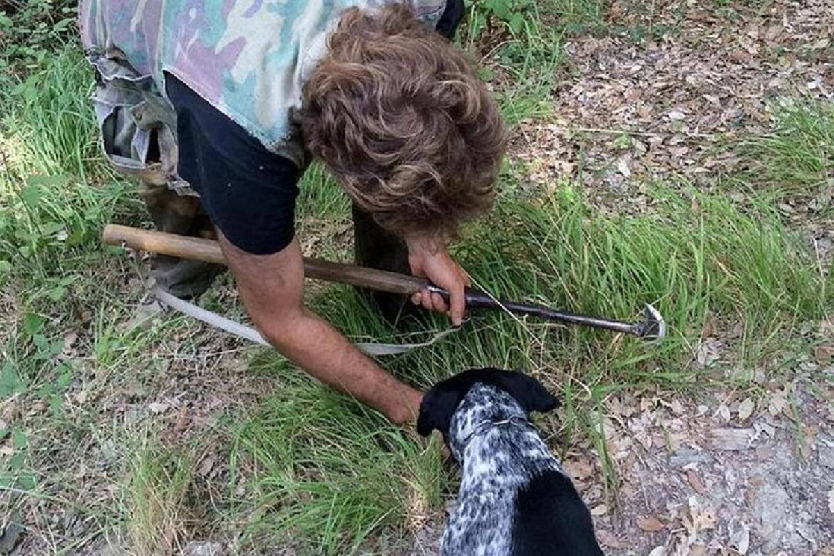 maður með hund í taumi