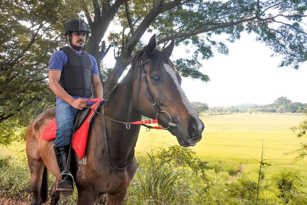 un uomo a cavallo in un campo