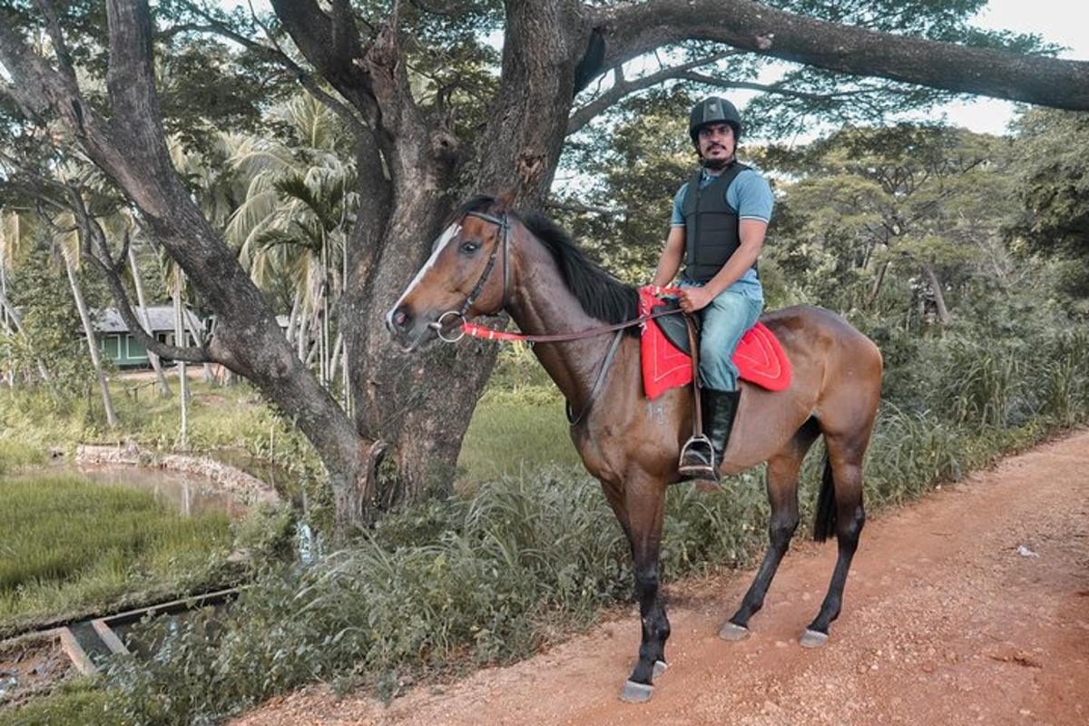 una persona a cavallo su una strada sterrata