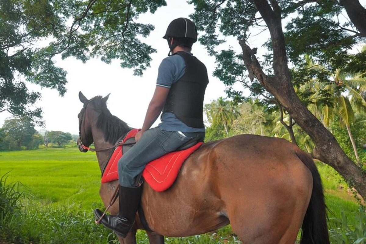 una persona a cavallo in un campo