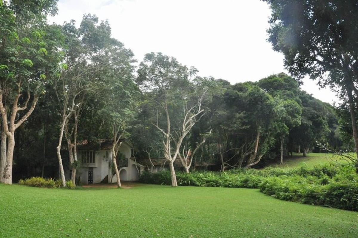 a house in the middle of a field with trees