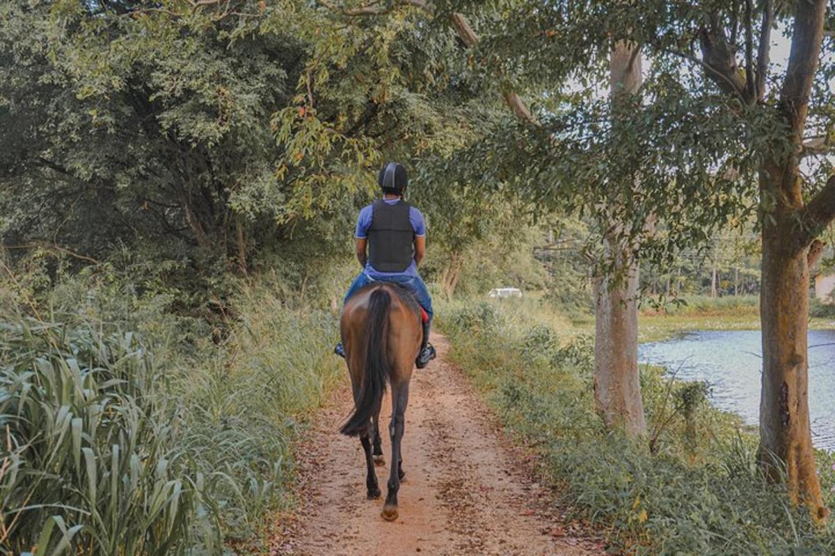 una persona a cavallo lungo una strada sterrata