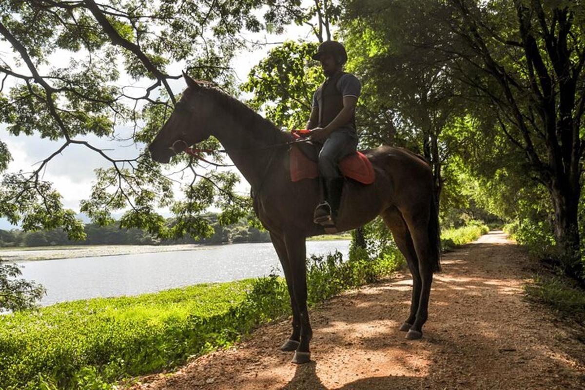 una persona a cavallo su un sentiero accanto a un lago