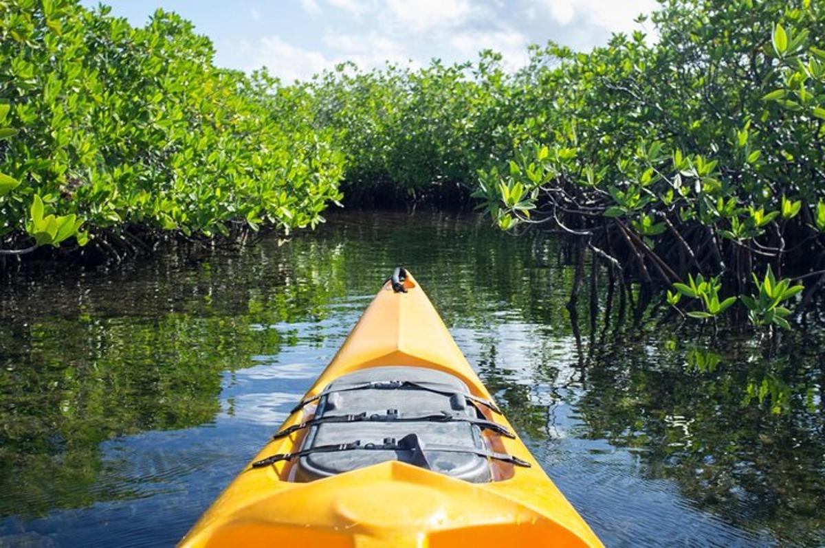 un kayak giallo nell'acqua accanto agli alberi