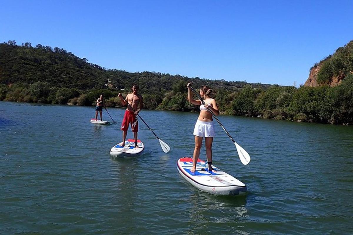 three people are paddle boarding on a river