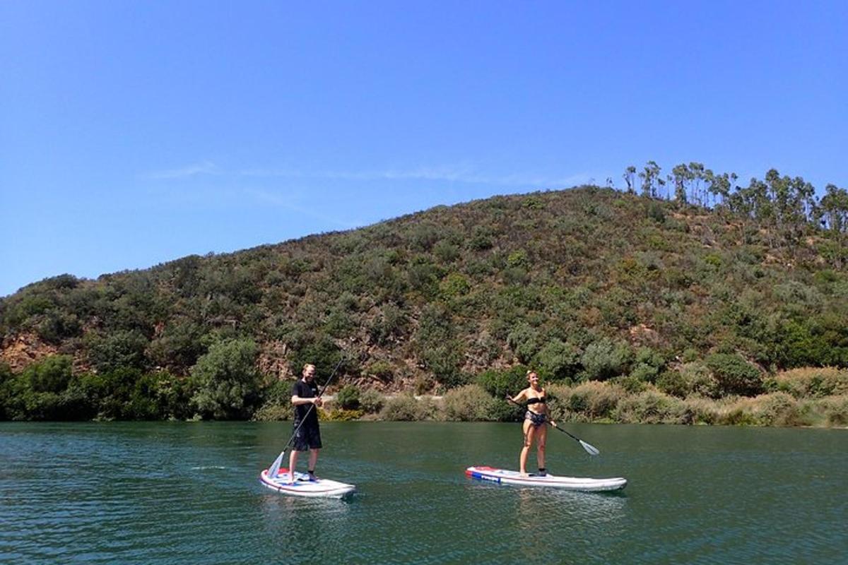 două persoane stau pe plăci de paddle în apă
