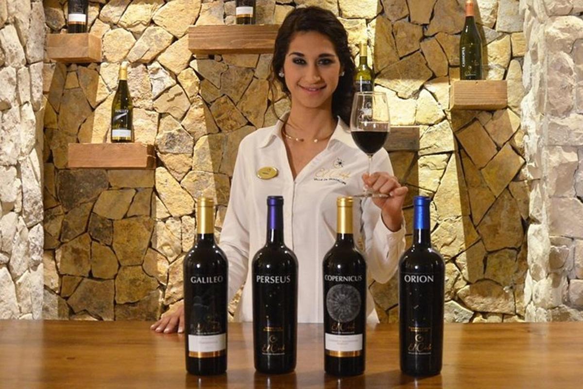 一位女士站在三瓶酒旁边