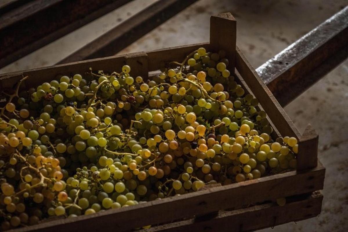 a pile of green grapes in a wooden box