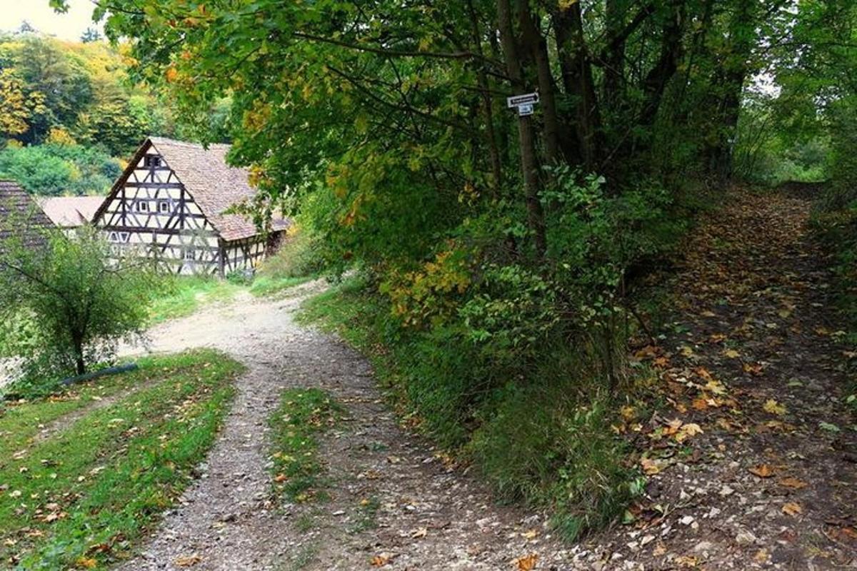 un camí de terra al costat d'una casa amb un arbre