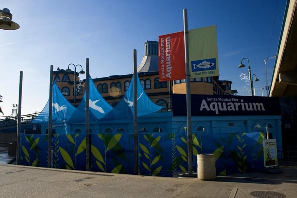 a blue fence with a mural on the side of a building