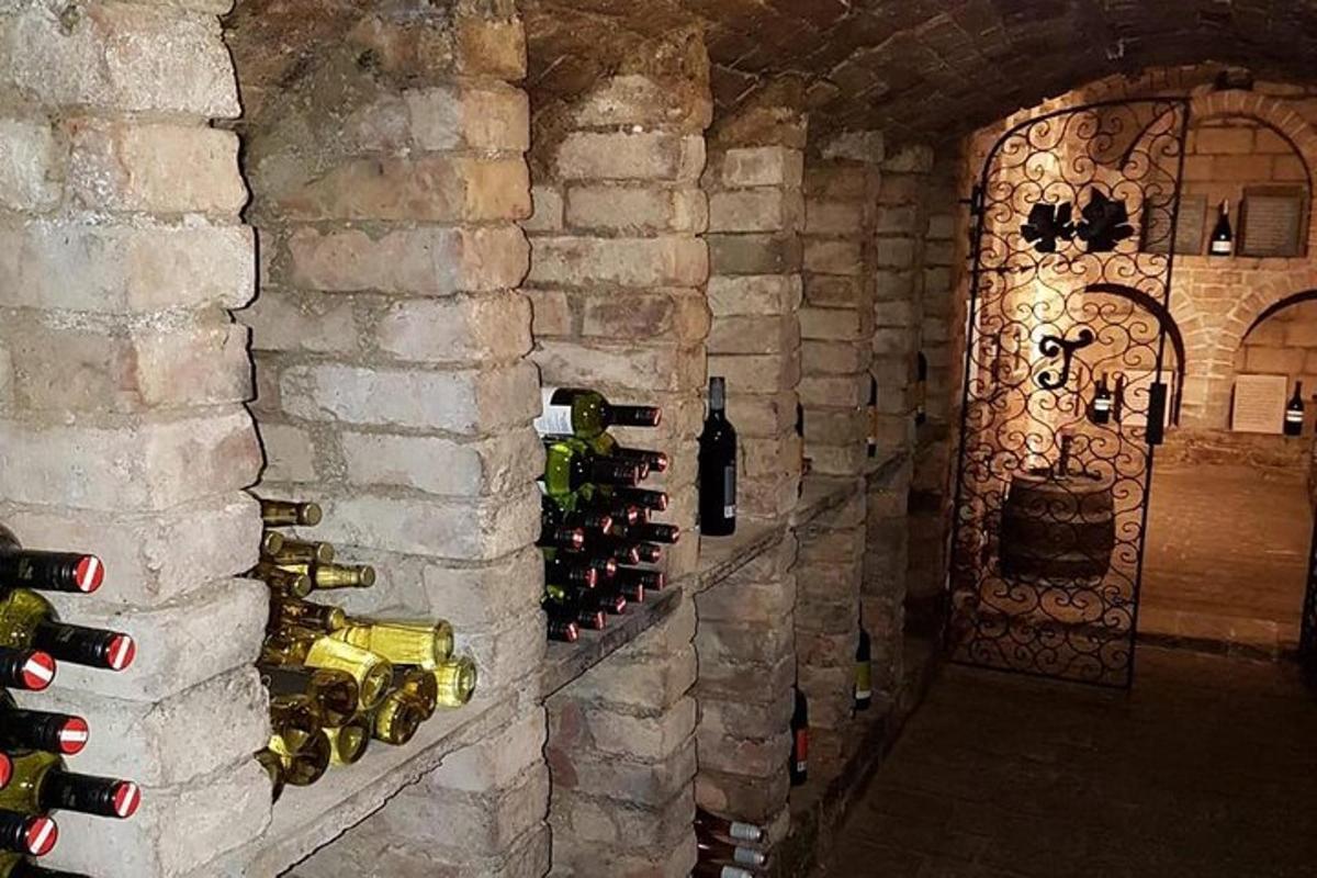 Una bodega con un montón de botellas de vino