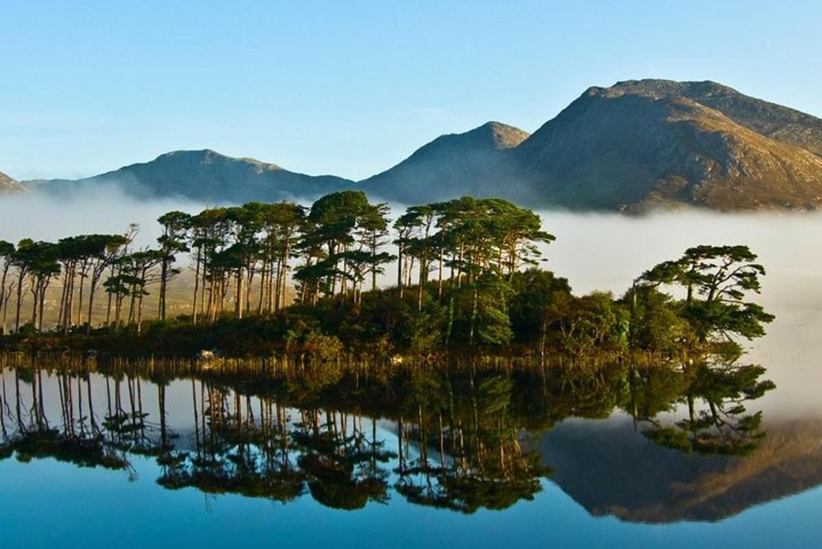 un gruppo di alberi su un'isola nell'acqua con le montagne
