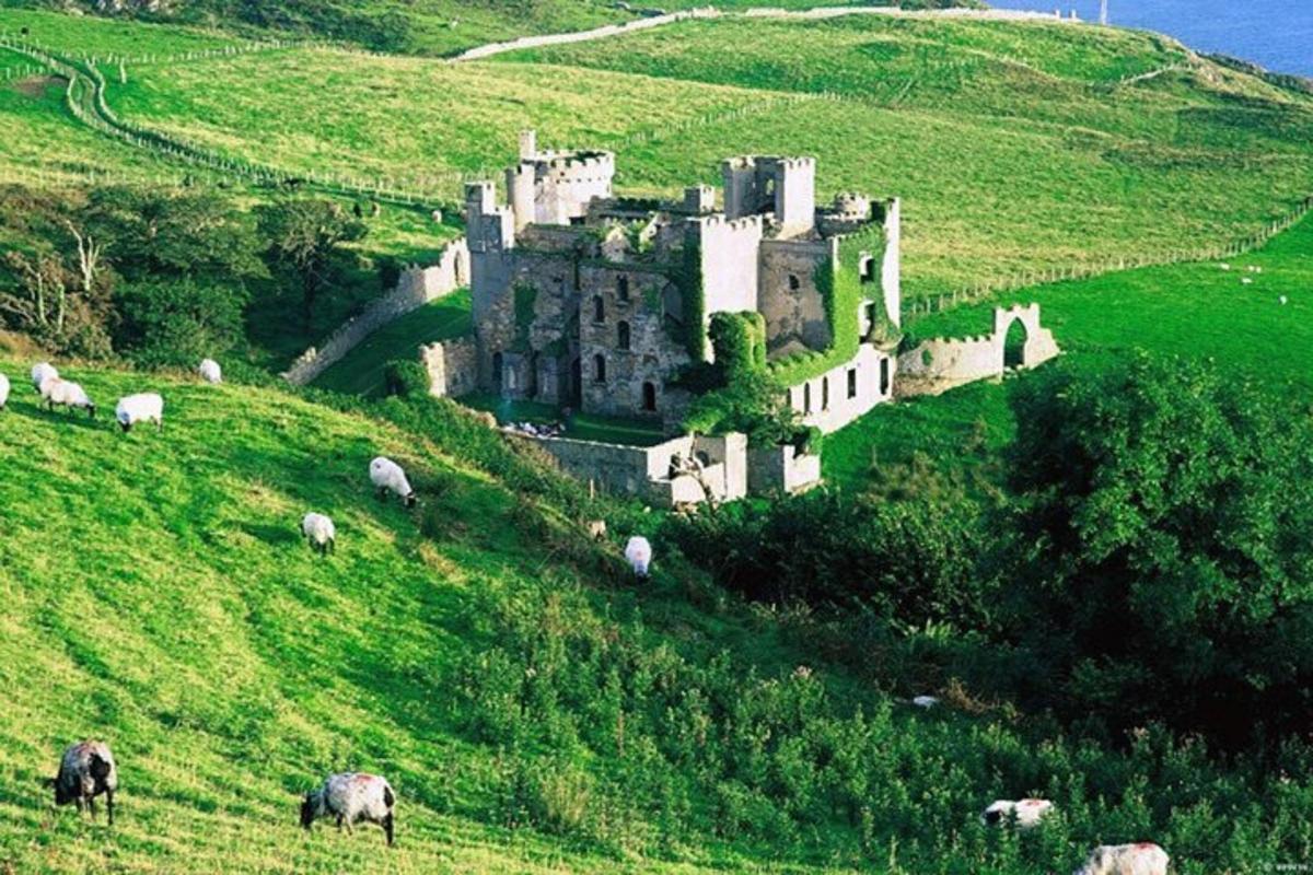 un castello su una collina con pecore al pascolo in un campo