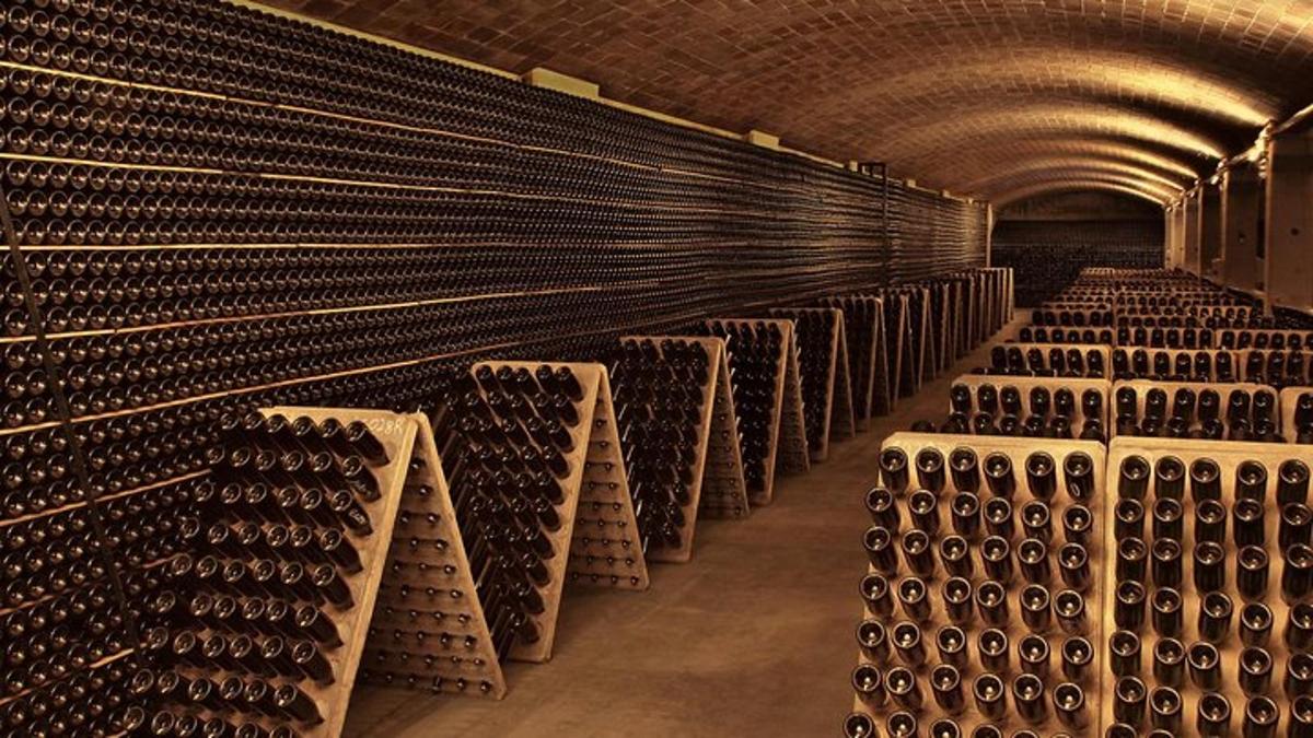 o pivniță de vinuri cu rânduri de sticle de vin