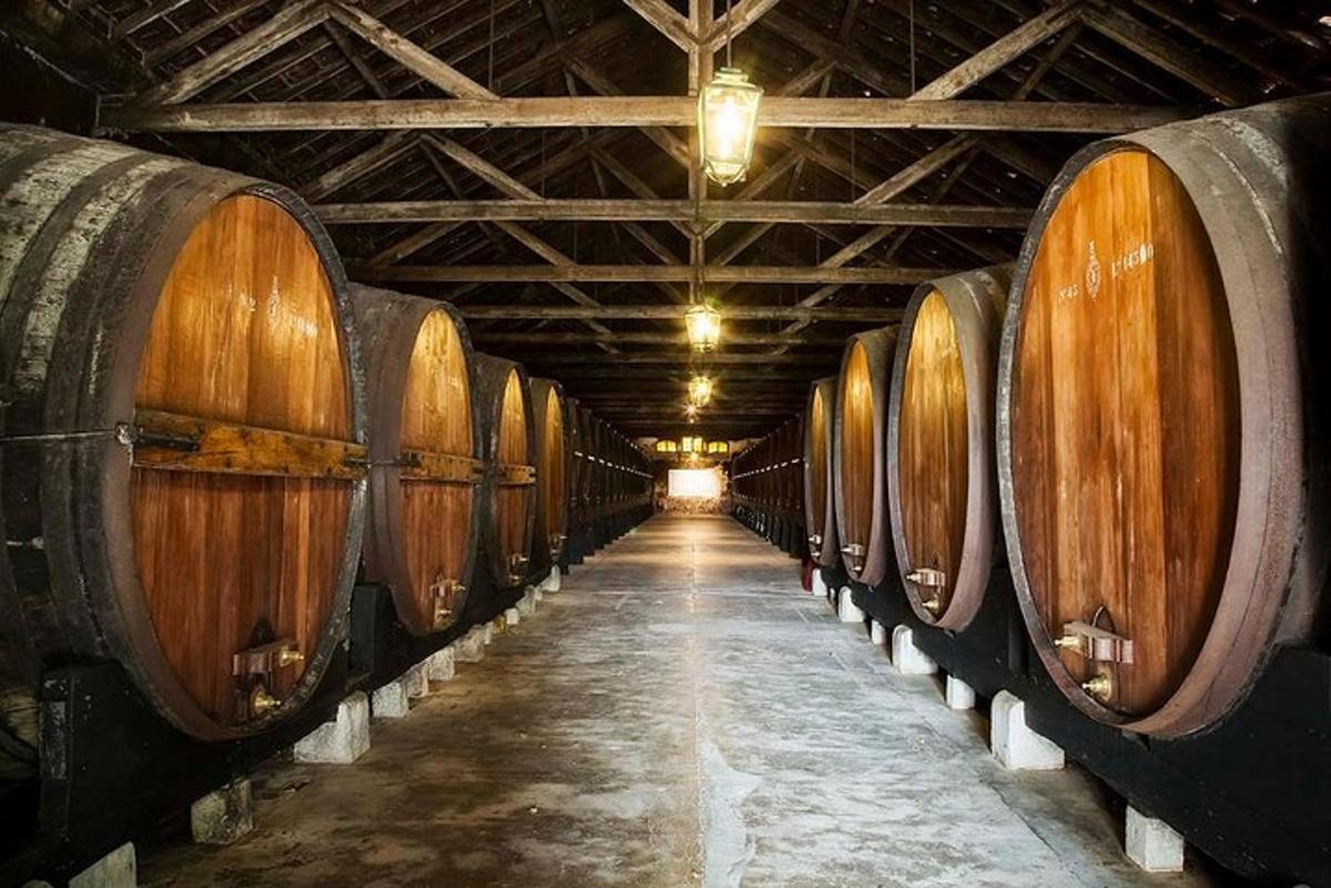 μια σειρά από ξύλινα βαρέλια σε ένα κελάρι κρασιού