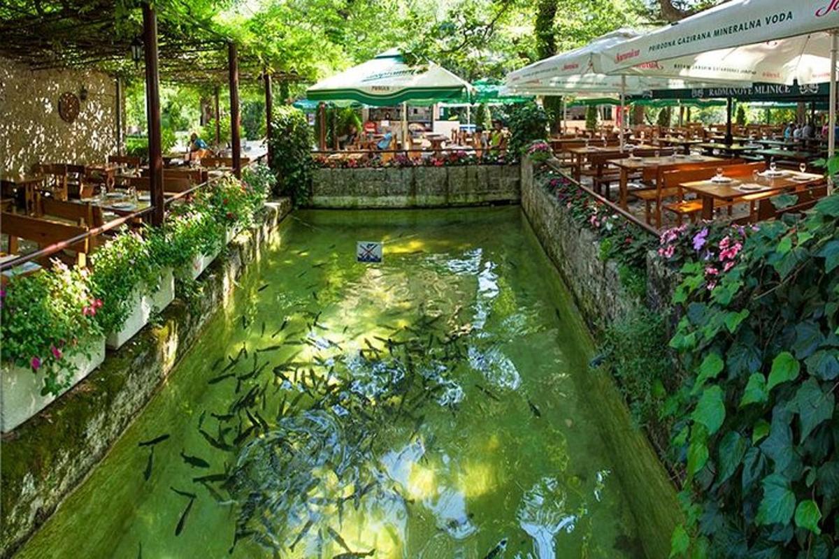 un estany de koi en un restaurant amb taules i cadires