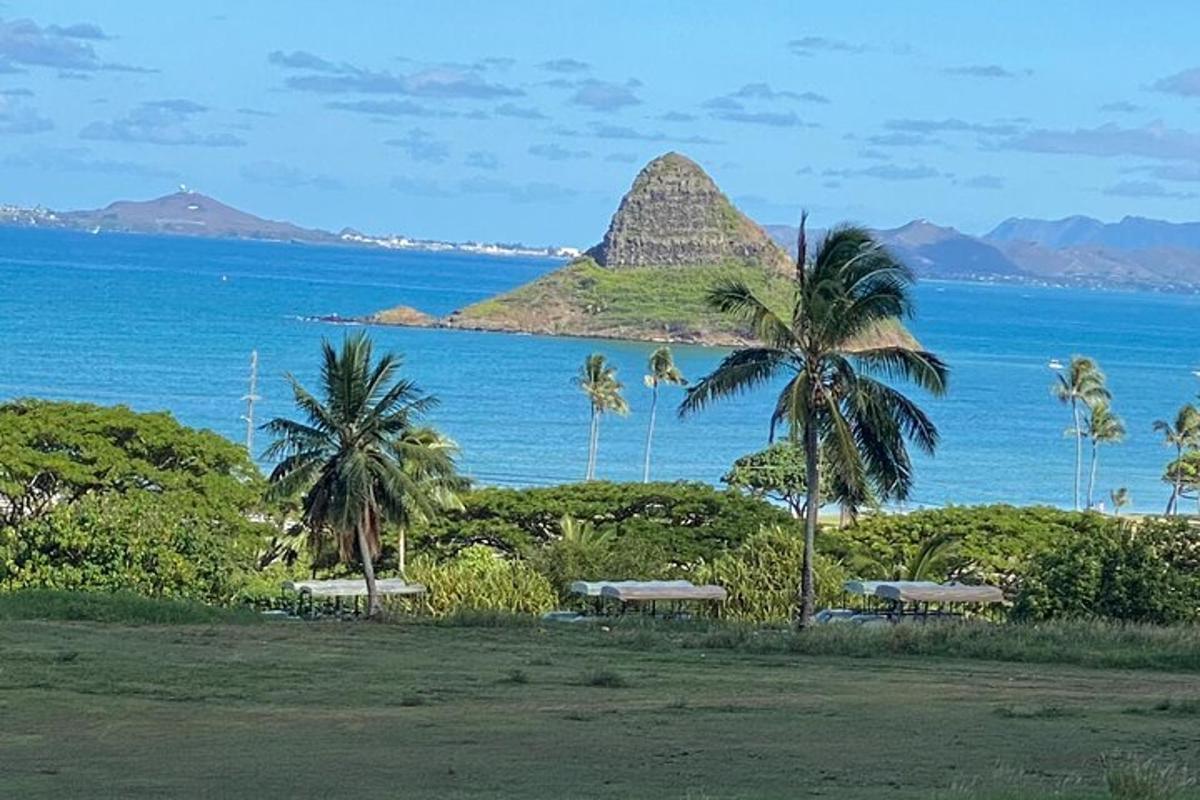 una vista di una spiaggia con palme e l'oceano
