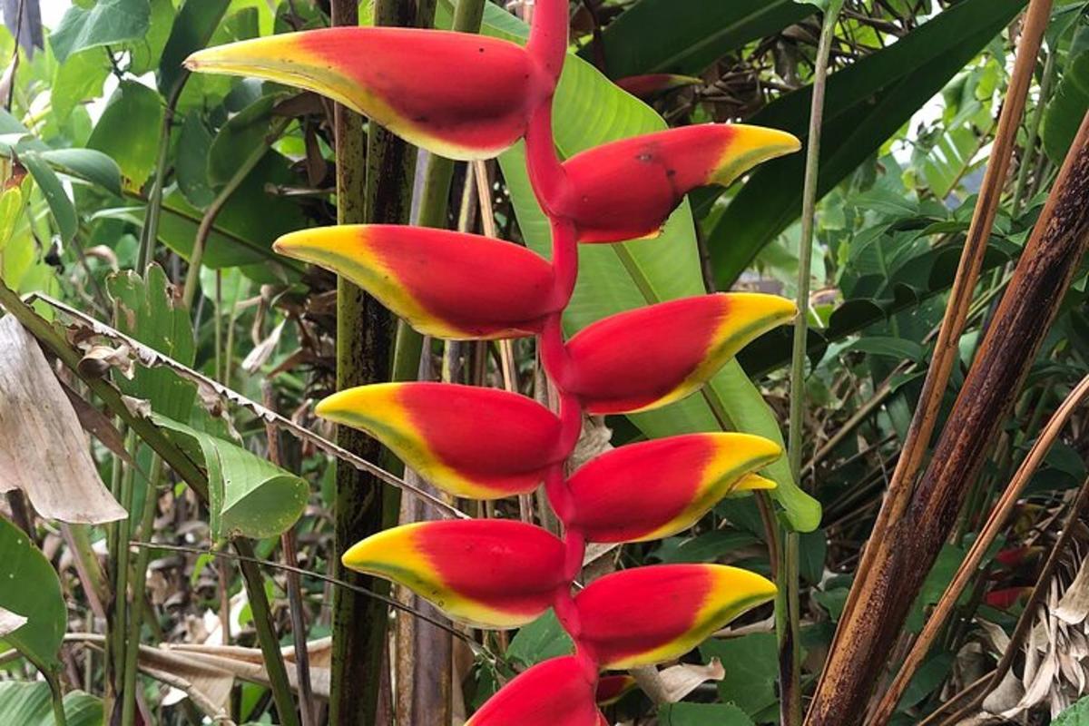 una pianta alta con fiori rossi e gialli
