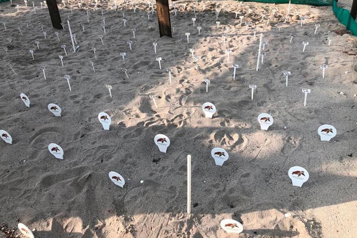 a model of a desert with white skulls in the dirt