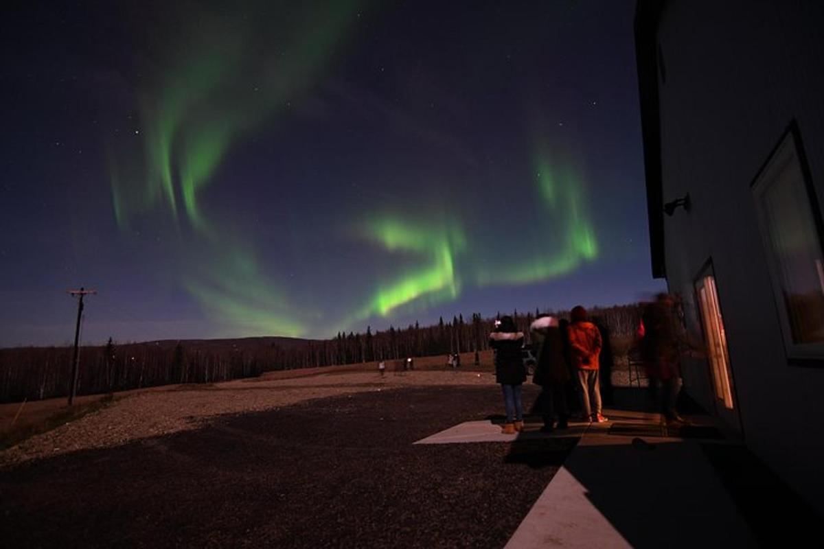 un gruppo di persone che guarda l'aurora boreale
