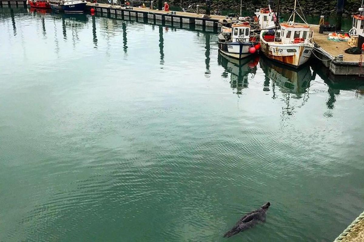 Fotografia da atração 3