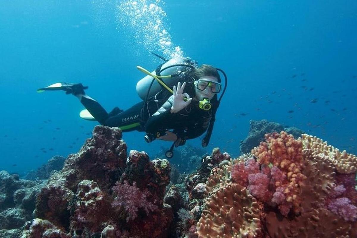 Una persona está nadando sobre un arrecife de coral.