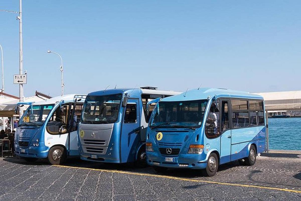 três ônibus azuis estacionados em um estacionamento