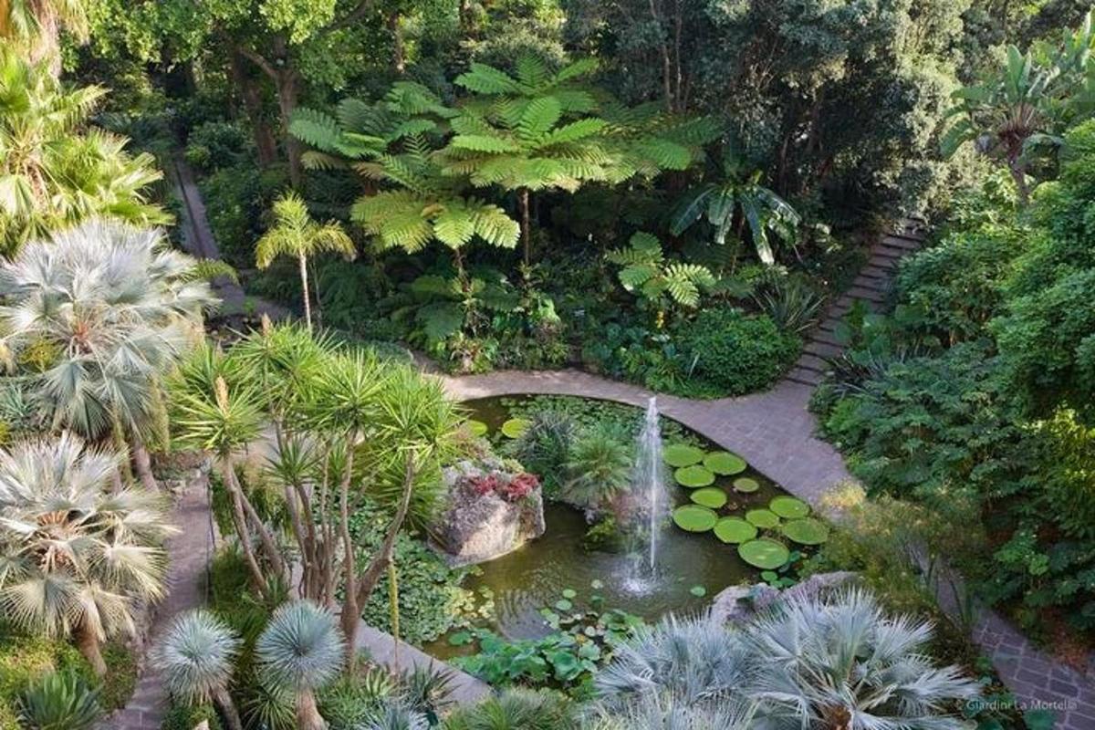 un jardí amb un estany amb un pont i una font