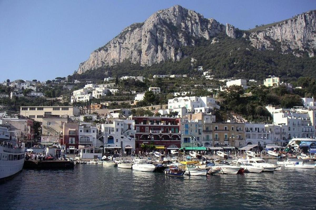 μια ομάδα σκαφών σε ένα λιμάνι με ένα βουνό